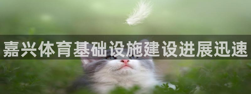 意昂体育4招商电话号码查询：嘉兴体育基础设施建设进展