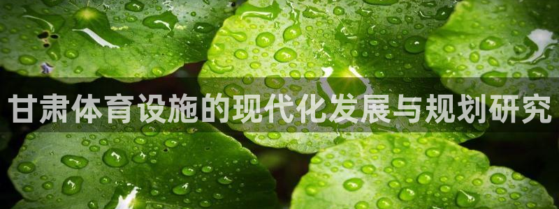 意昂4集团官网首页：甘肃体育设施的现代化发展与规划研