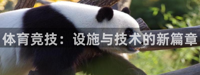 意昂体育4平台注册流程视频：体育竞技：设施与技术的新