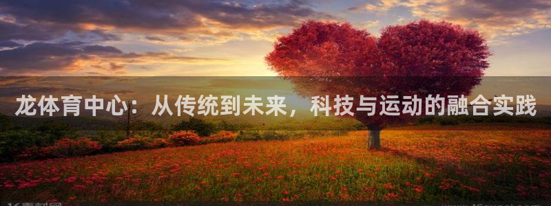 意昂体育4开户：龙体育中心：从传统到未来，科技与运动