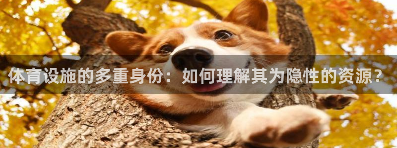 意昂体育4平台注册：体育设施的多重身份：如何理解其为
