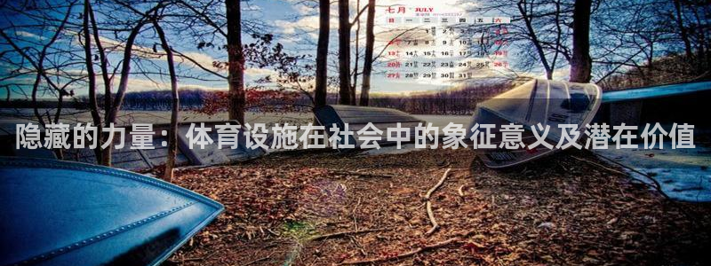 意昂4集团官网网址：隐藏的力量：体育设施在社会中的象