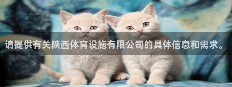 意昂体育4招商：请提供有关陕西体育设施有限公司的具体