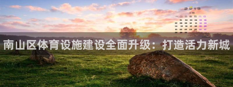 意昂体育4：南山区体育设施建设全面升级：打造活力新城