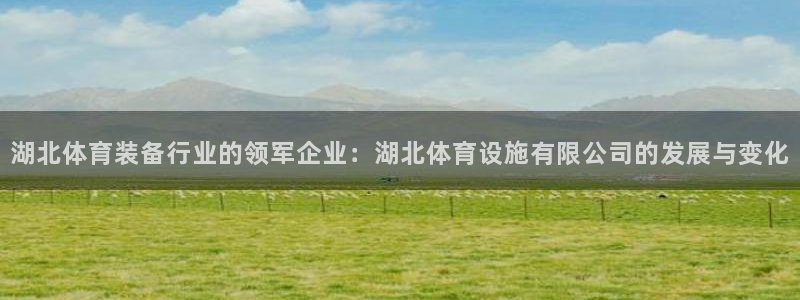 意昂4官网：湖北体育装备行业的领军企业：湖北体育设施