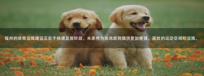 意昂体育4招商：福州的体育设施建设正处于快速发展阶段