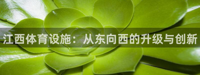 意昂体育4平台假的吗是真的吗吗：江西体育设施：从东向