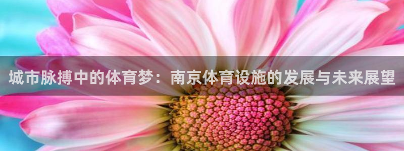 意昂体育4是干嘛的公司：城市脉搏中的体育梦：南京体育设施的发