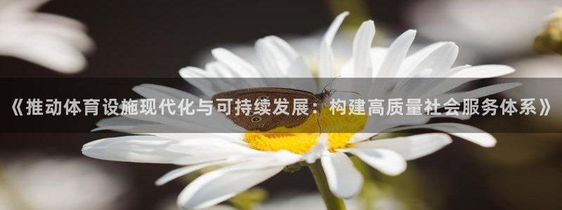意昂4娱乐首页网站大全：《推动体育设施现代化与可持续
