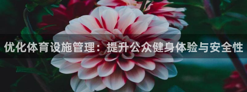 意昂体育4平台注册要钱吗是真的吗：优化体育设施管理：