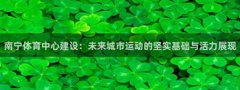 意昂4神州：南宁体育中心建设：未来城市运动的坚实基础