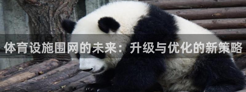 意昂集团官网：体育设施围网的未来：升级与优化的新策略