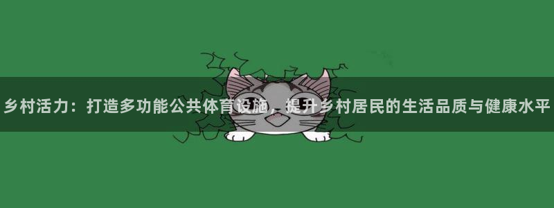 意昂4娱乐首页网站大全：乡村活力：打造多功能公共体育