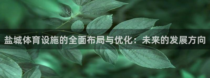 意昂4娱乐是那个系列的台子：盐城体育设施的全面布局与优化：未
