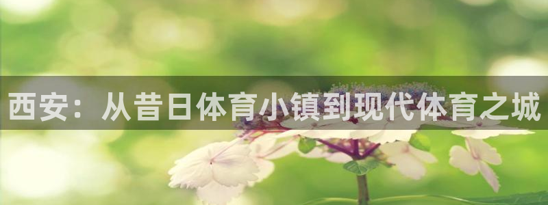 意昂体育4娱乐：西安：从昔日体育小镇到现代体育之城