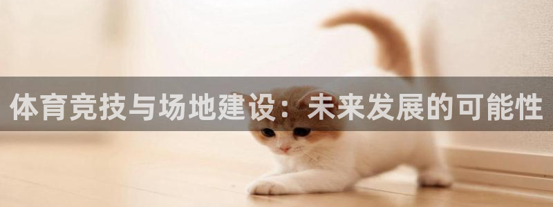 意昂4神州：体育竞技与场地建设：未来发展的可能性