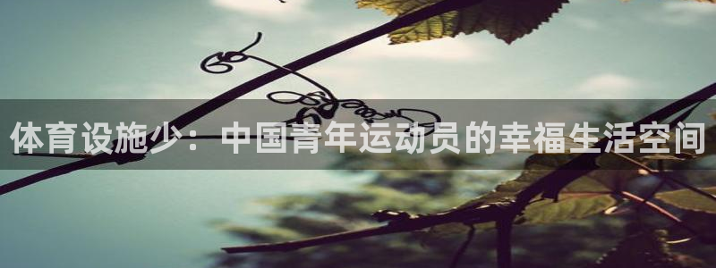 意昂4开户：体育设施少：中国青年运动员的幸福生活空间