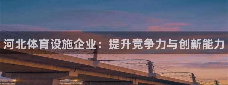 意昂4娱乐下载：河北体育设施企业：提升竞争力与创新能