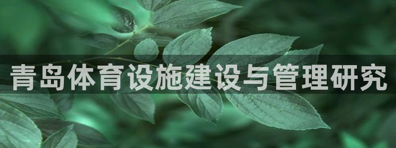 意昂4娱乐下载：青岛体育设施建设与管理研究 