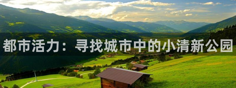 意昂体育4招商电话号码查询是多少：都市活力：寻找城市