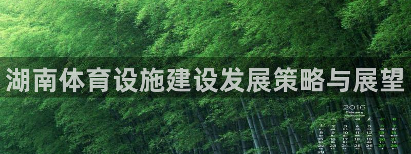 意昂4开户：湖南体育设施建设发展策略与展望