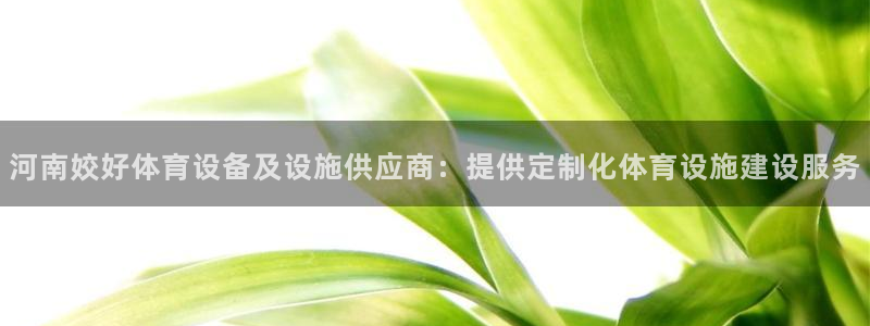 意昂体育4平台注册要钱吗安全吗：河南姣好体育设备及设施供应商