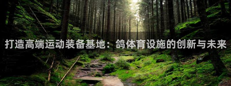 意昂体育4平台注册要钱吗是真的吗：打造高端运动装备基