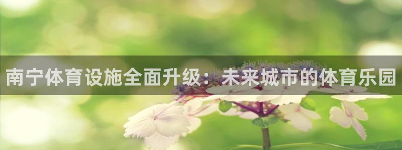 意昂体育4是干嘛的公司