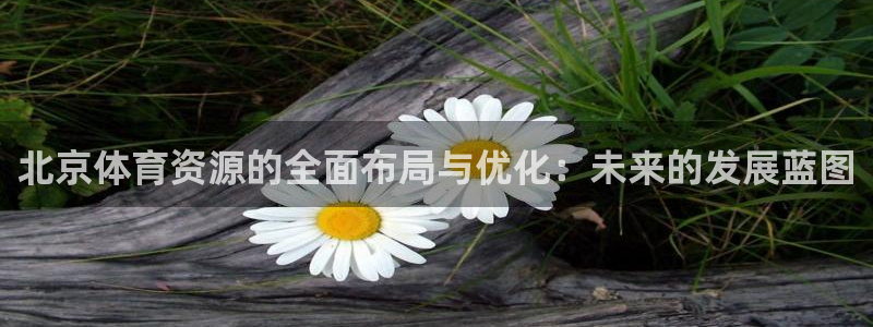 意昂4新能源：北京体育资源的全面布局与优化：未来的发展蓝图