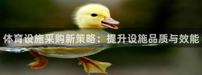 意昂体育4招商电话地址是多少：体育设施采购新策略：提升设施品