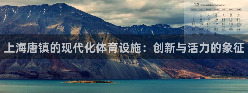 意昂体育4联系电话：上海唐镇的现代化体育设施：创新与活力的象 