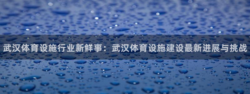 意昂4集团logo：武汉体育设施行业新鲜事：武汉体育设施建设