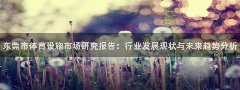 意昂4集团E.ON：东莞市体育设施市场研究报告：行业发展现状 