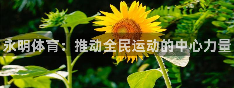 意昂体育4平台假的吗是真的吗：永明体育：推动全民运动的中心力