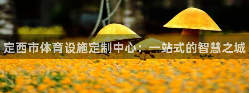 意昂体育4招商电话号码是多少号：定西市体育设施定制中