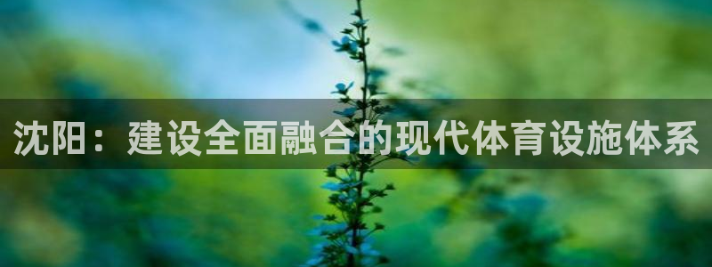 海南意昂体育4：沈阳：建设全面融合的现代体育设施体系