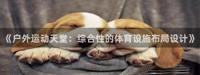 意昂体育4招商电话地址：《户外运动天堂：综合性的体育