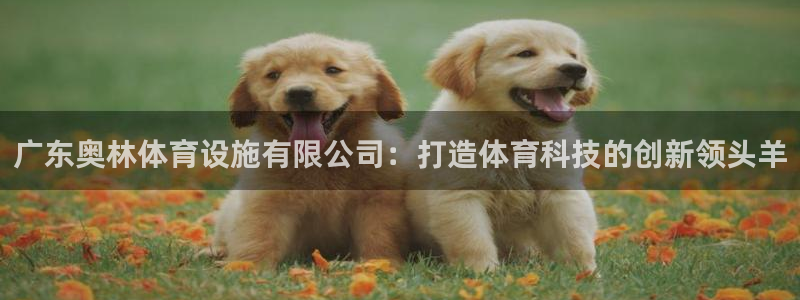 意昂4新能源