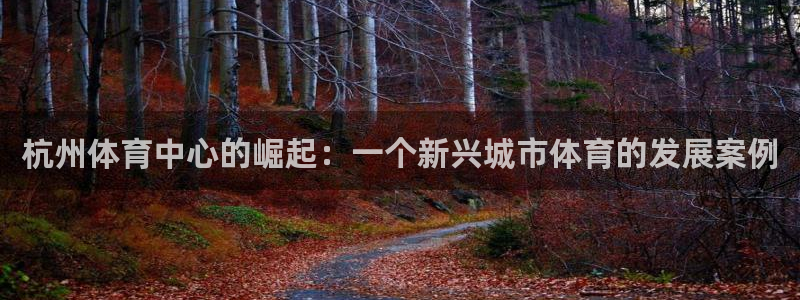 意昂体育4注册：杭州体育中心的崛起：一个新兴城市体育