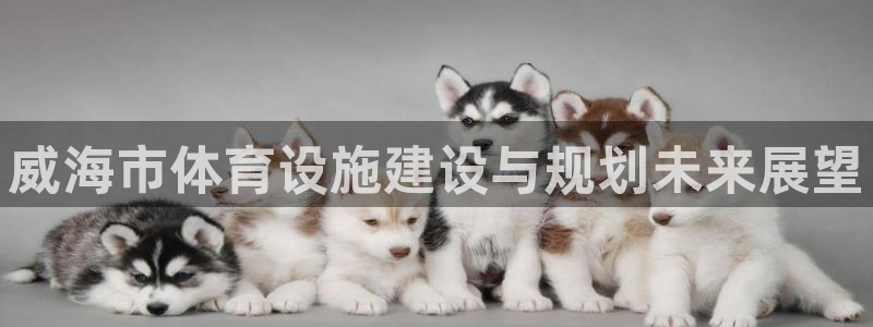 意昂4娱乐代理怎么样：威海市体育设施建设与规划未来展