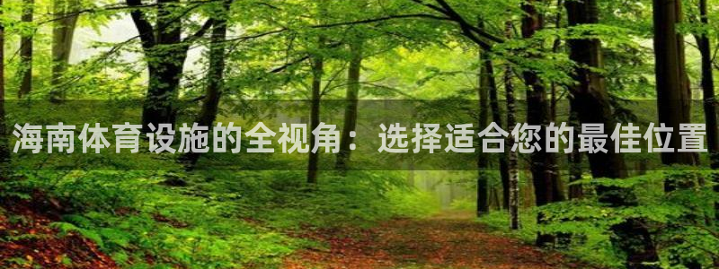 意昂4集团logo：海南体育设施的全视角：选择适合您