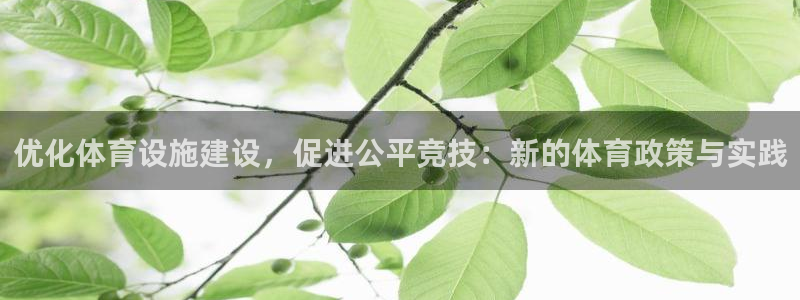 德国意昂4集团