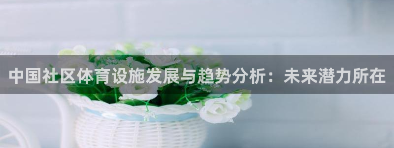 意昂4娱乐首页官网下载：中国社区体育设施发展与趋势分析：未来