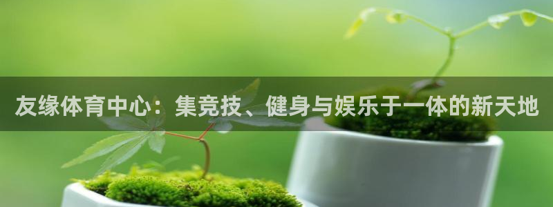 意昂体育4平台注册流程图：友缘体育中心：集竞技、健身与娱乐于