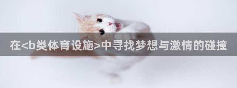 意昂体育4平台是正规平台吗：在<b类体育设施>中寻找梦想与激 