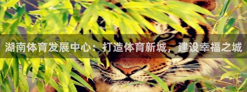 意昂体育4招商电话地址查询：湖南体育发展中心：打造体
