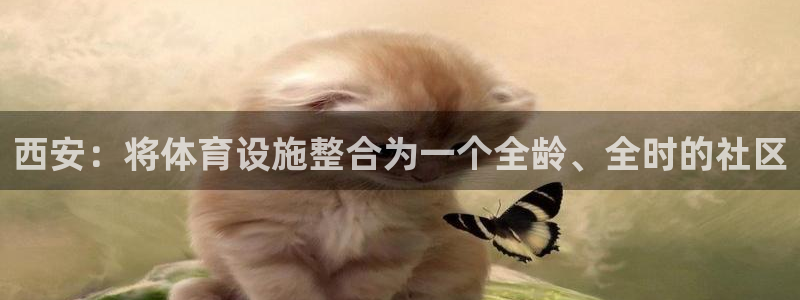 意昂体育4平台APP：西安：将体育设施整合为一个全龄
