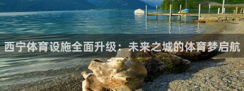 意昂体育4招商