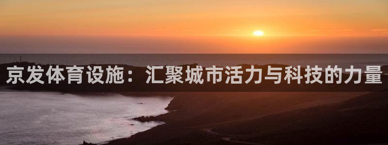 意昂体育4是干嘛的公司