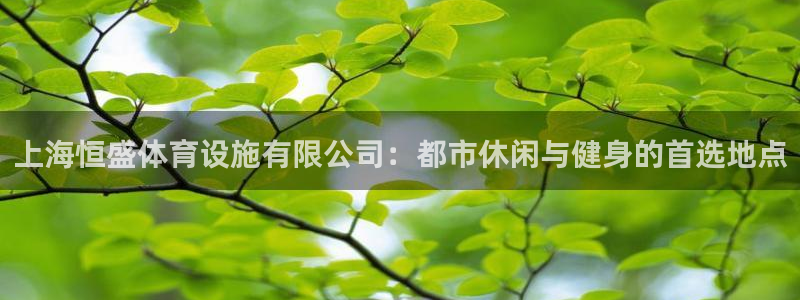 意昂体育4平台注册要钱吗安全吗：上海恒盛体育设施有限